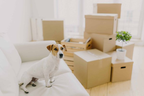 Quali sono i passaggi per creare un angolo lettura confortevole a casa?